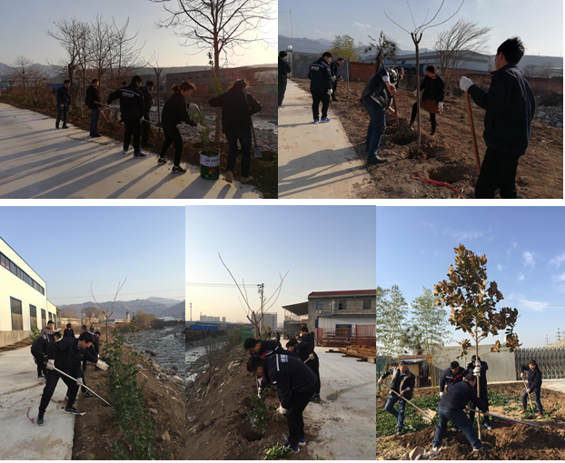 寶雞捷銳“迎春風，綠家園”植樹節(jié)(圖1)