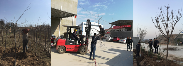 寶雞捷銳“迎春風，綠家園”植樹節(jié)(圖2)